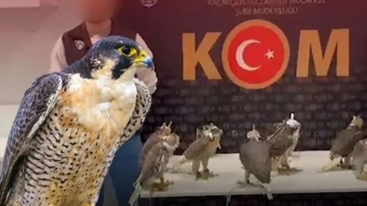 Hızları 390 kilometreyi geçiyor! Hepsi havalimanında yakalandı: Sahte pasaport düzenlemişler!